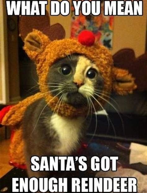funny christmas memes pictures